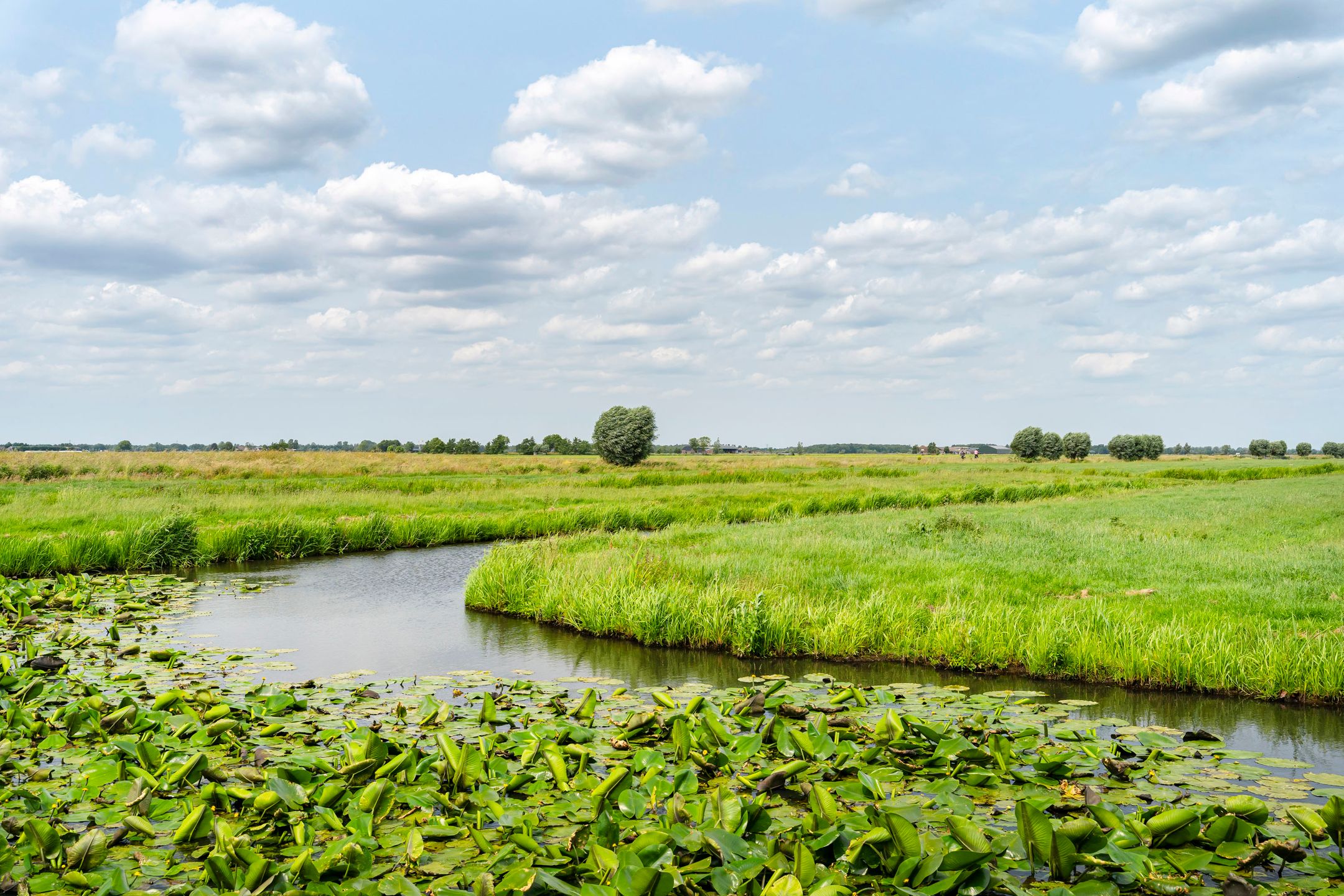 Foto 57 van Opperduit 146