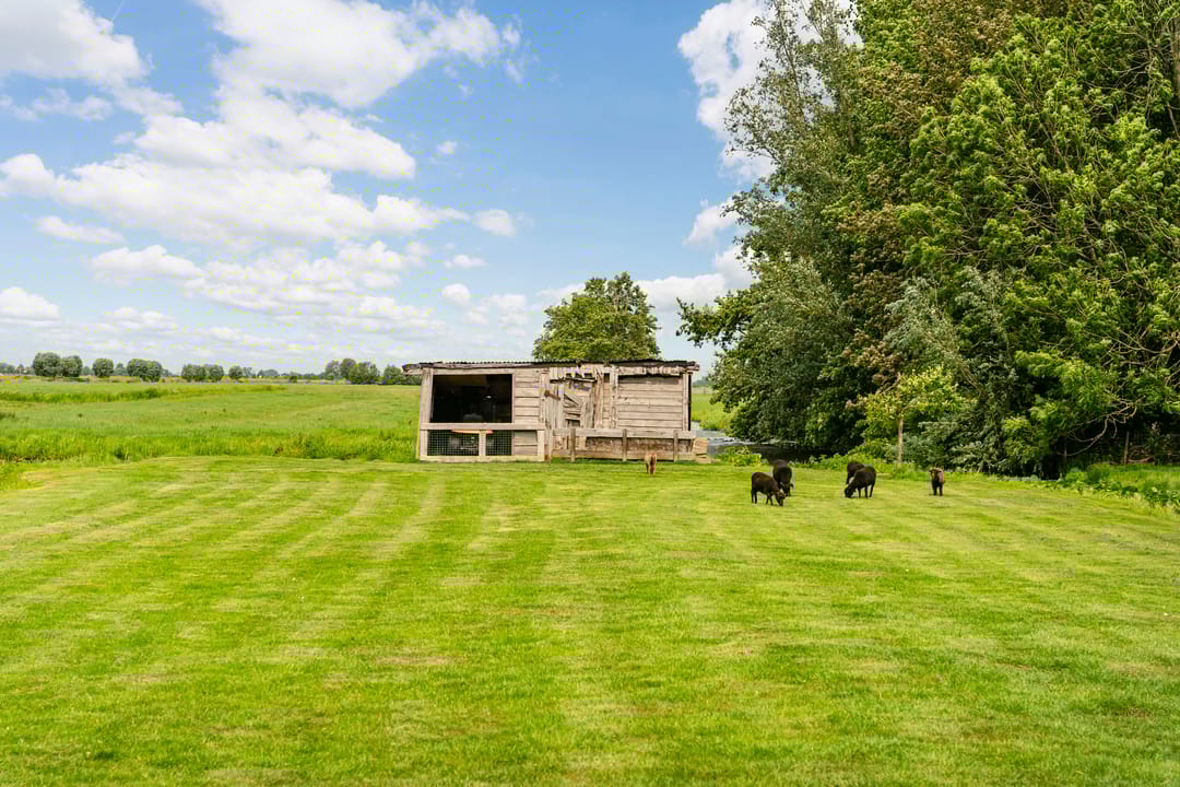 Foto 58 van Opperduit 146