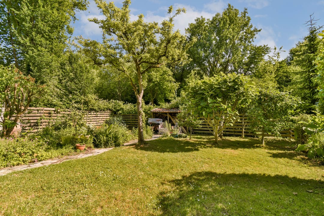 Foto 22 van Zuidendijk 443