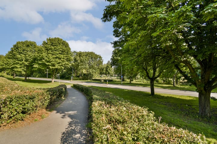 Foto 35 van Zuidendijk 443