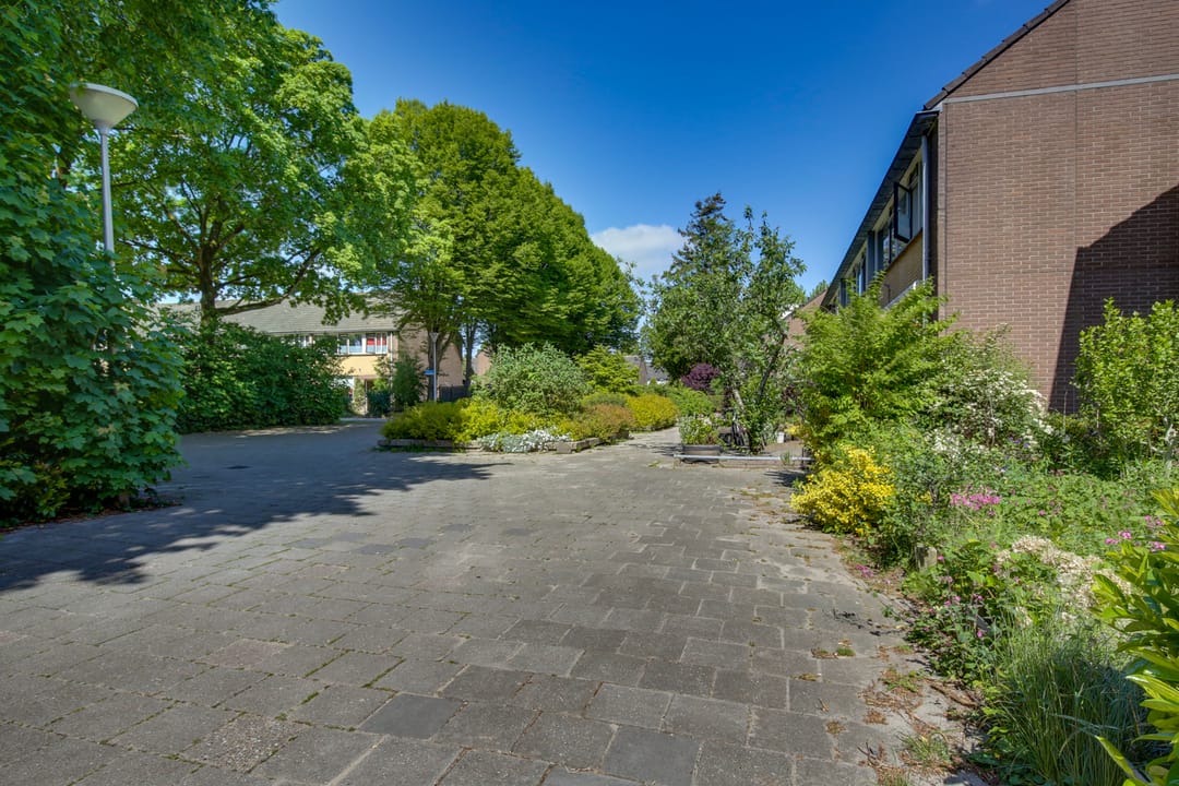 Foto 8 van Ratelaar 44