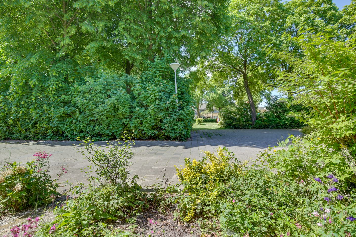 Foto 10 van Ratelaar 44