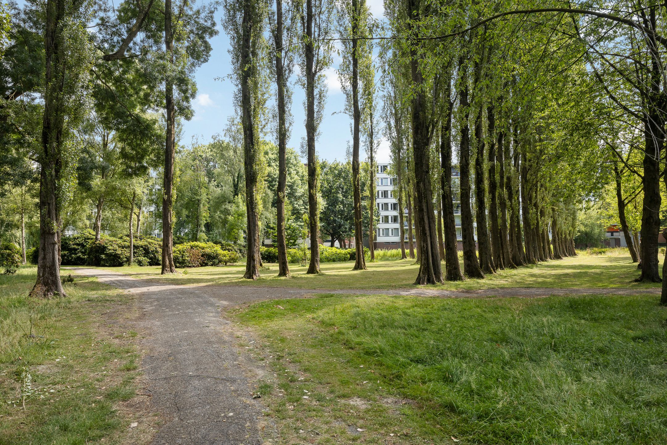 Foto 21 van Kasterleestraat 262