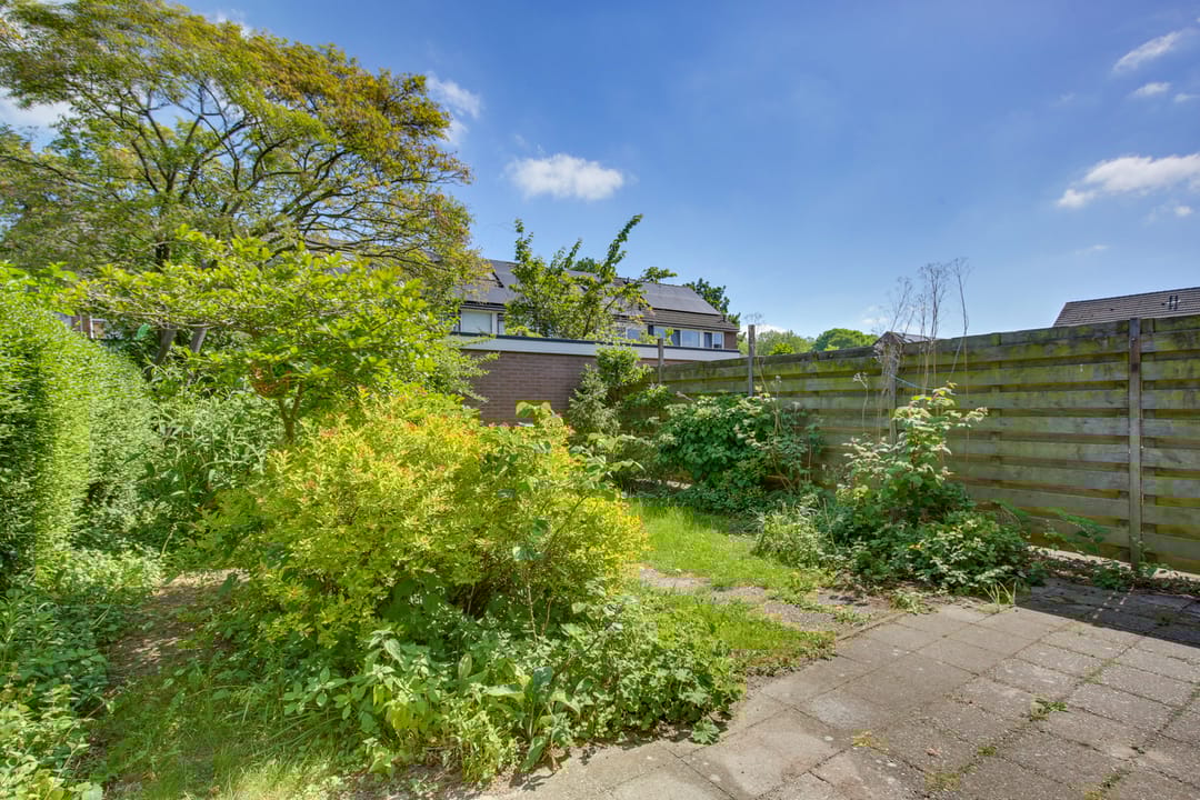 Foto 23 van Ratelaar 44