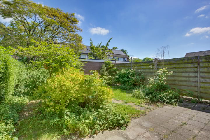 Foto 23 van Ratelaar 44