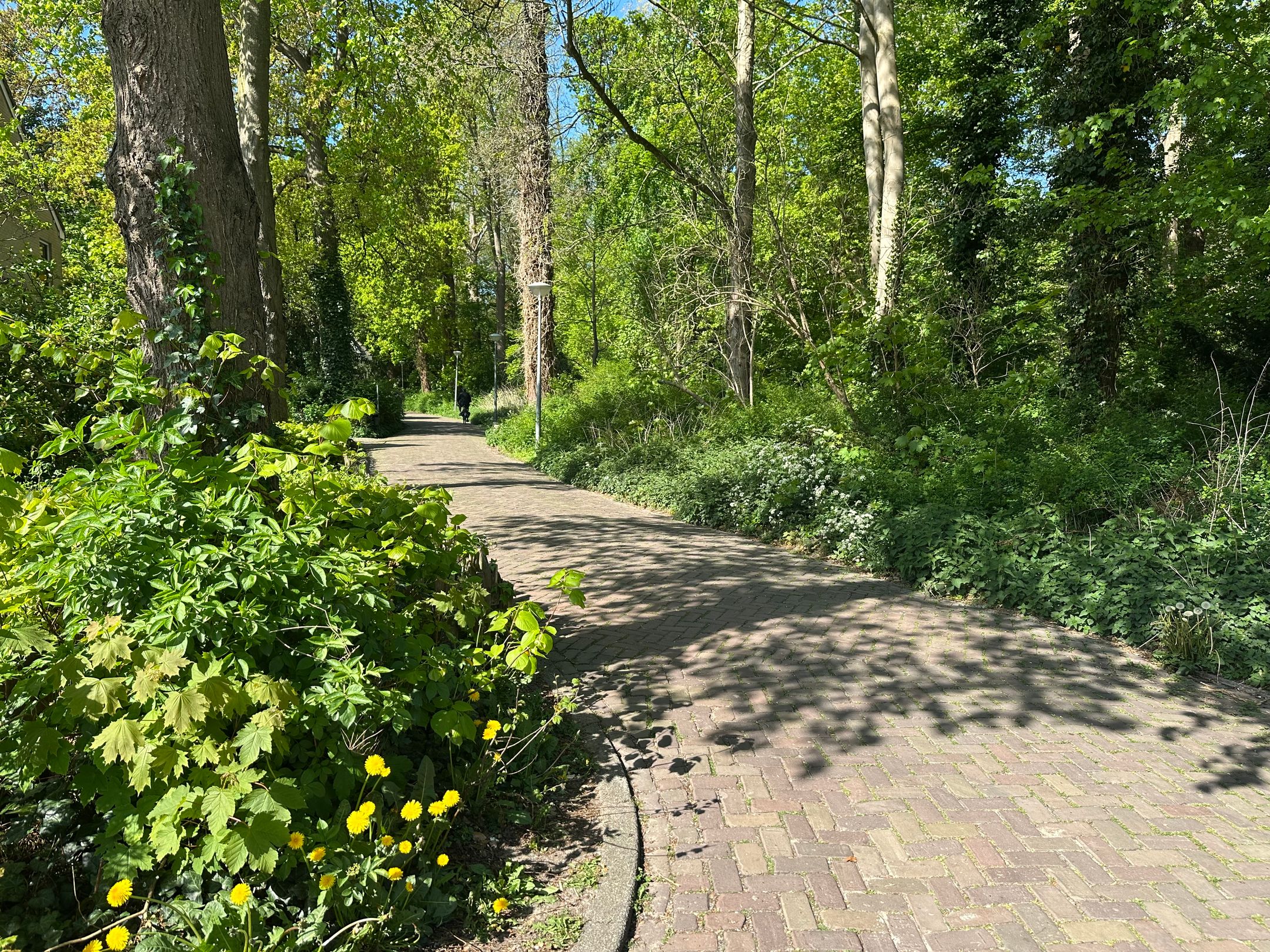 Photo 9 of Kraakmantuinen 23