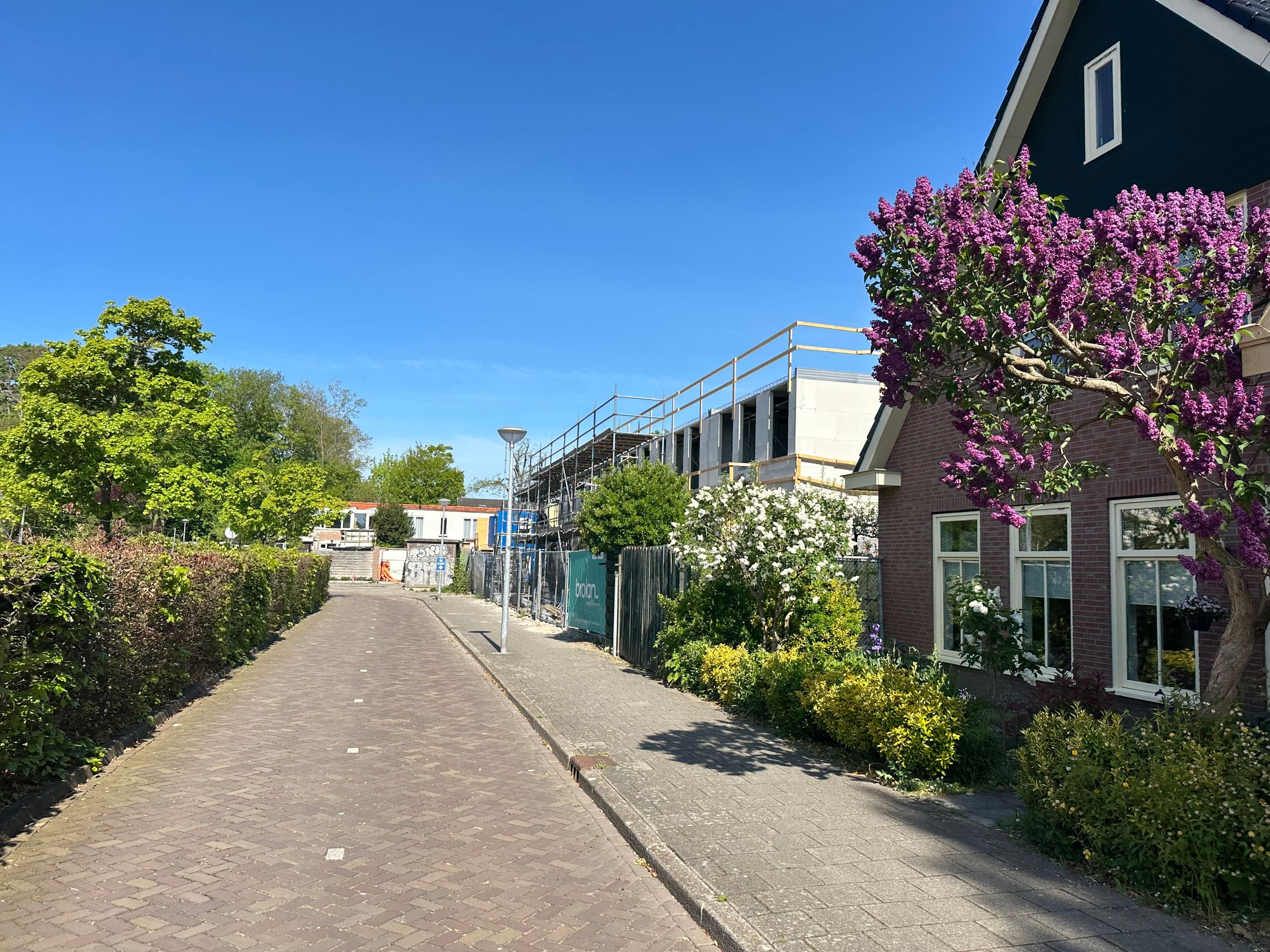 Photo 12 of Kraakmantuinen 23