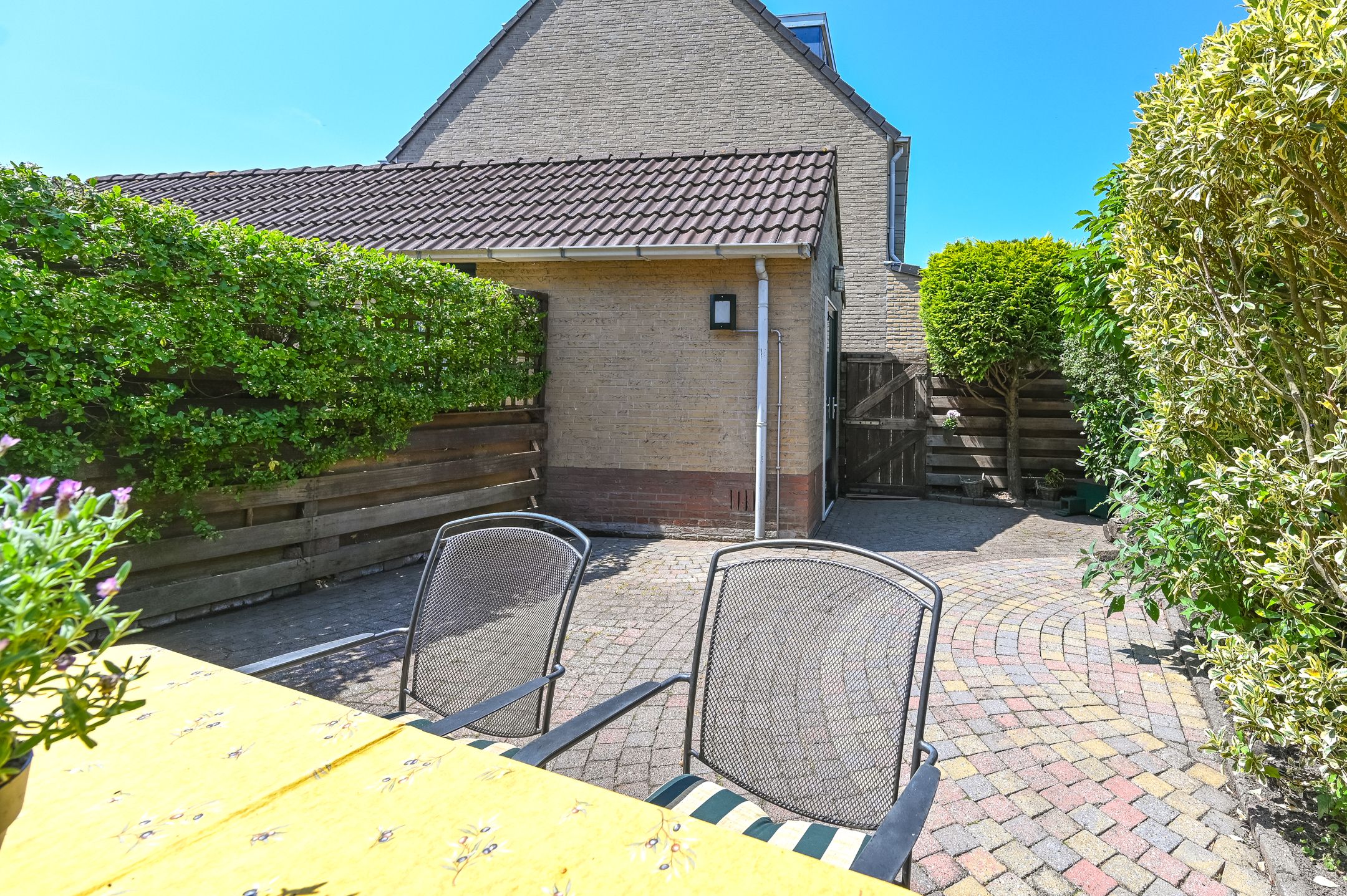 Foto 3 van Grote Boterbloem 78