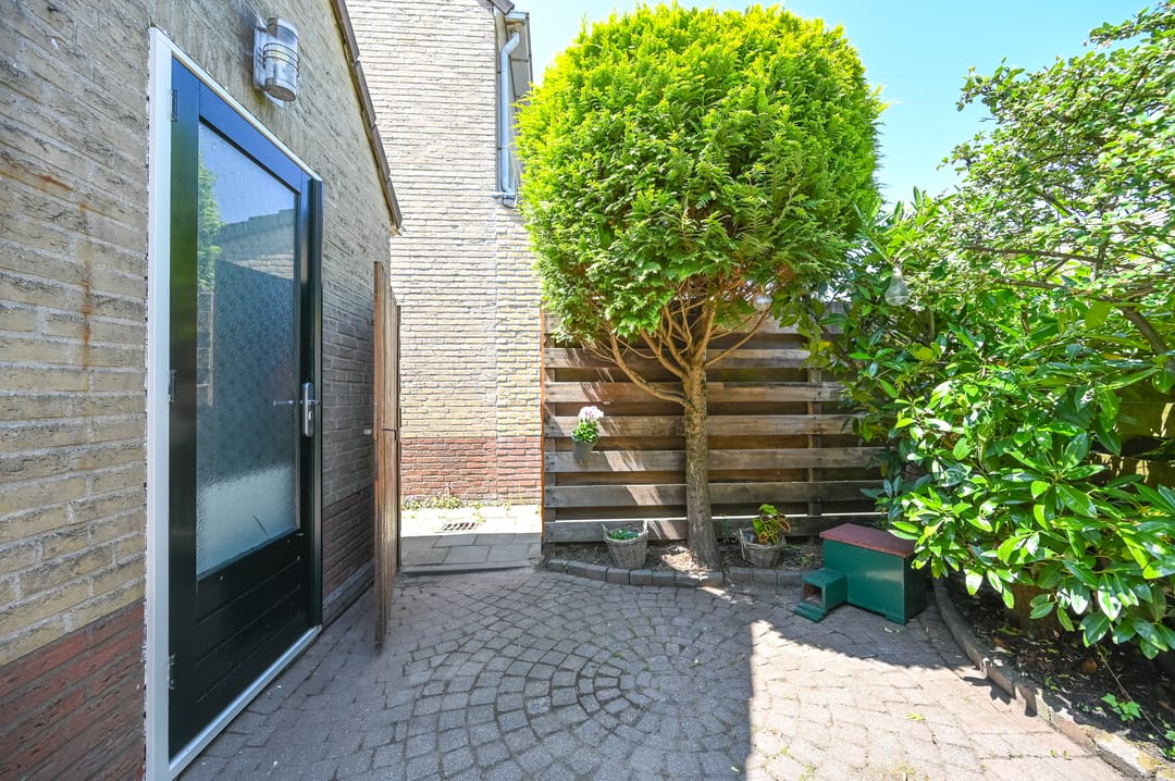 Foto 28 van Grote Boterbloem 78