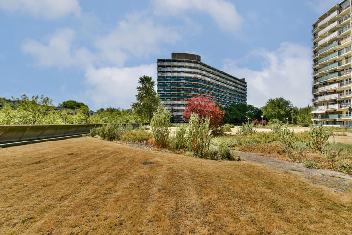 Foto 14 van Loenermark 167