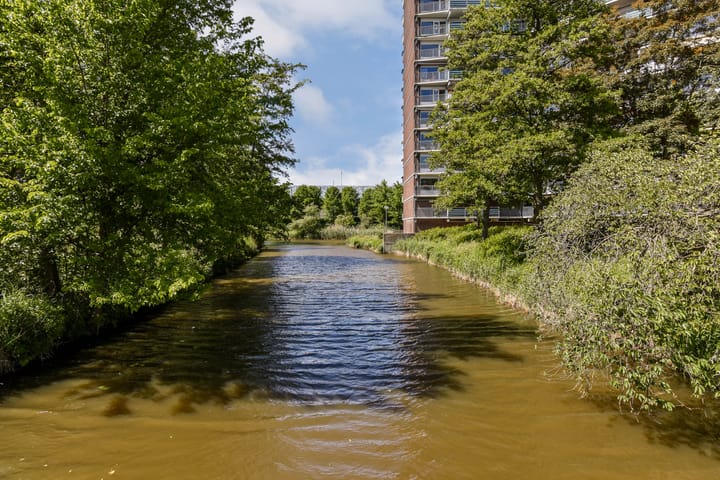 Foto 29 van Loenermark 167