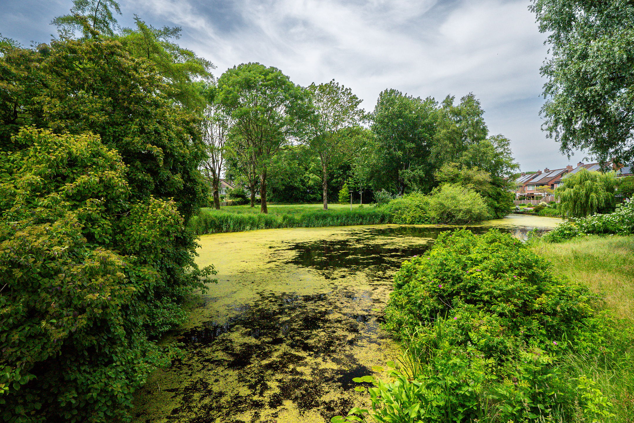 Photo 39 of Jan Piebengawei 16