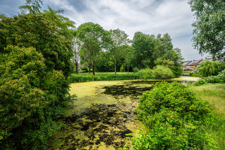 Foto 39 van Jan Piebengawei 16