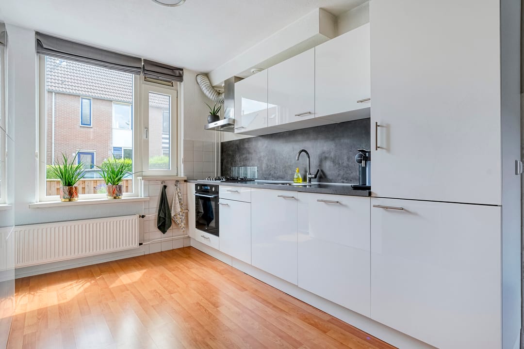 Foto 11 van Van Blanckvoortmarke 12