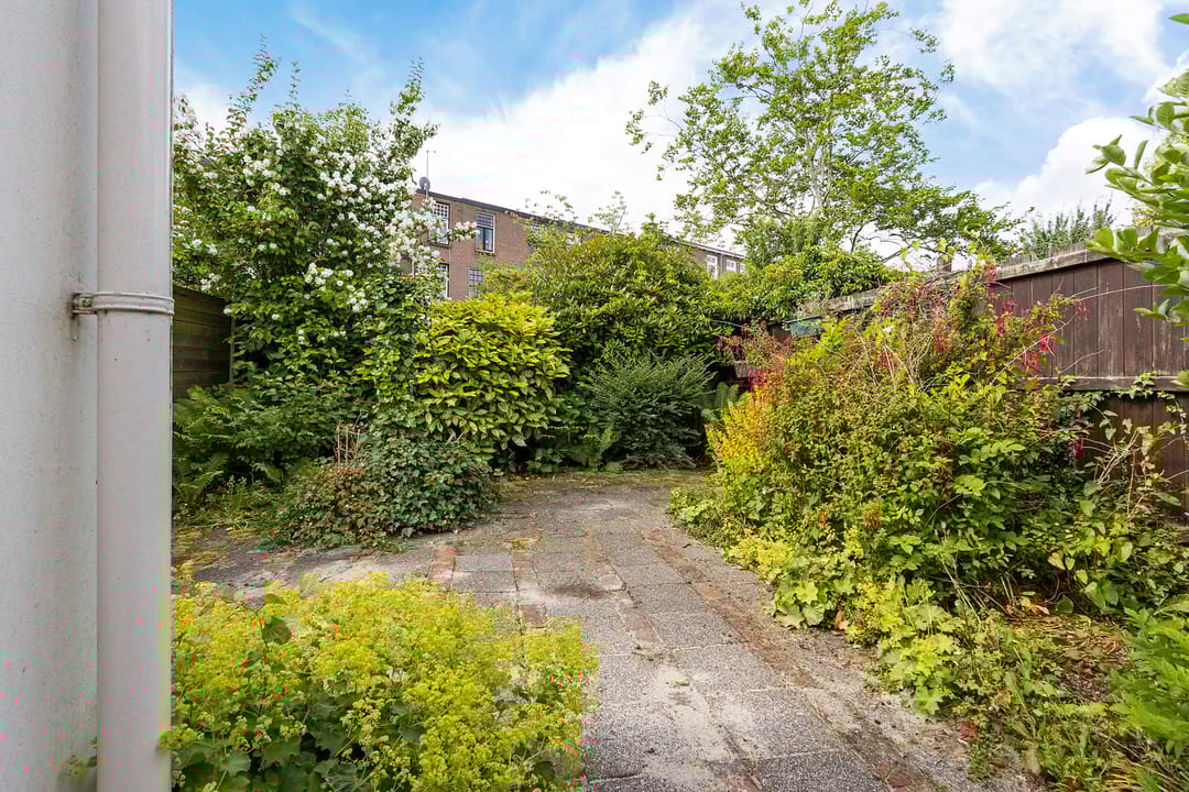 Foto 8 van Vredeman de Vriesstraat 42