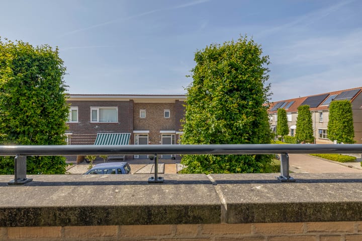 Foto 28 van Hoogaars 27