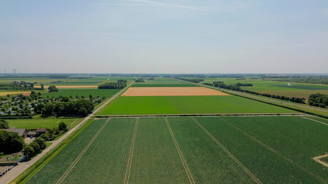 Foto 47 van Hoogaars 27