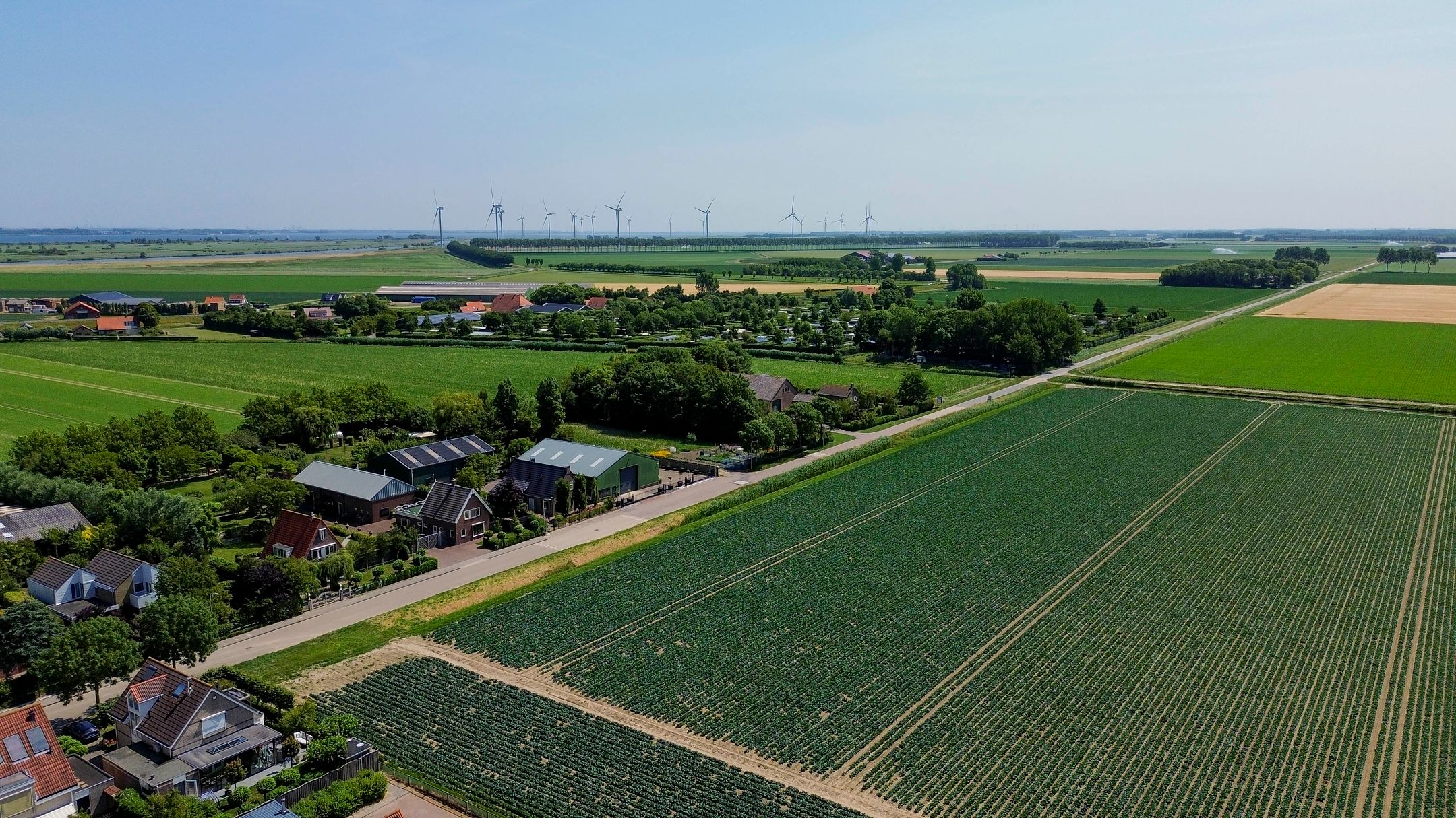 Foto 51 van Hoogaars 27