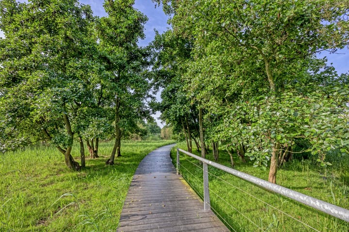 Photo 35 of Meersingel 41