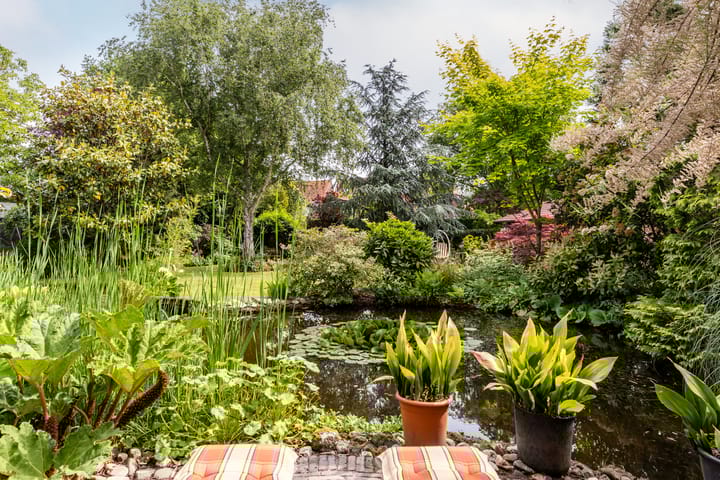 Photo 47 of Buiteneinde 24