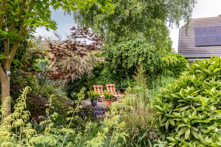 Photo 55 of Buiteneinde 24