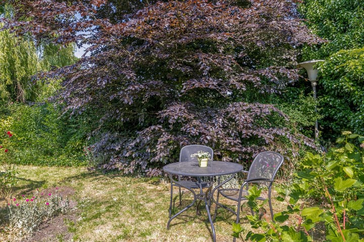 Foto 23 van Berkenlaan 20