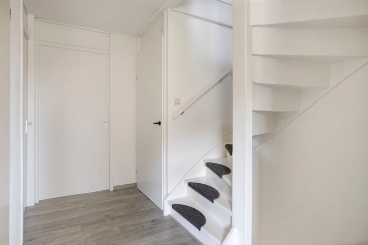 Foto 17 van Pijlstaart 4