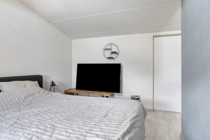 Foto 31 van Pijlstaart 4