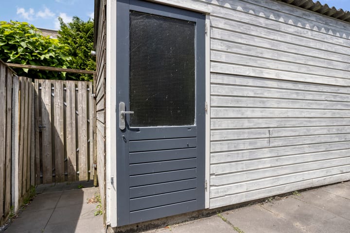 Foto 37 van Pijlstaart 4