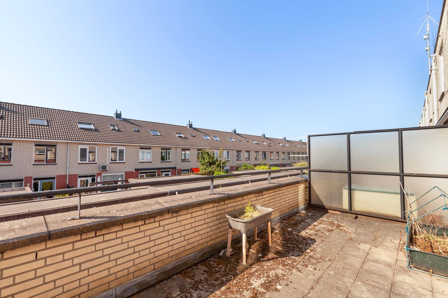 Foto 20 van Acaciazoom 25