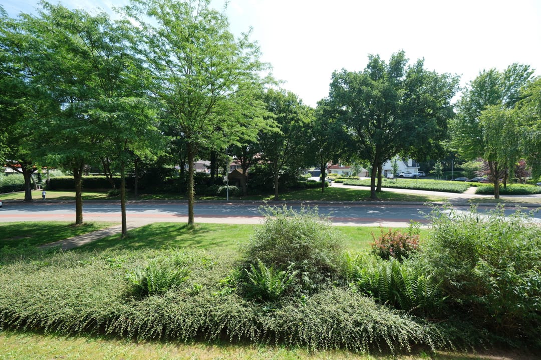 Foto 7 van Raadhuisstraat 1