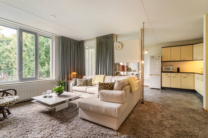 Foto 3 van Zuid Willemsvaart 478