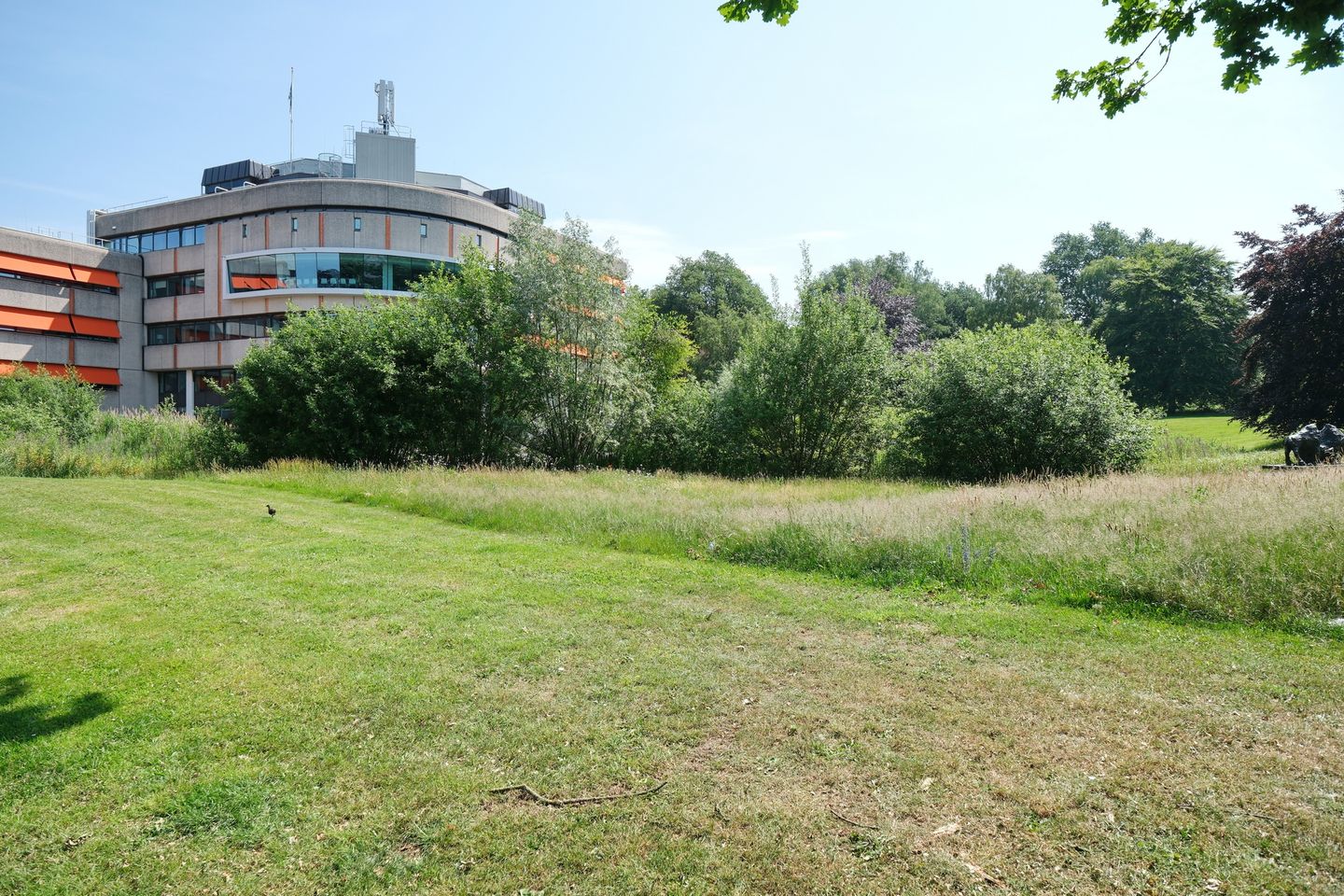 Foto 25 van Raadhuisstraat 1