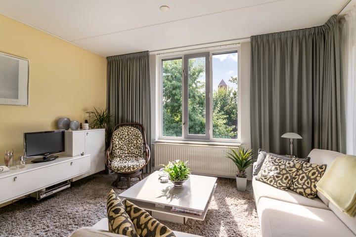 Foto 18 van Zuid Willemsvaart 478