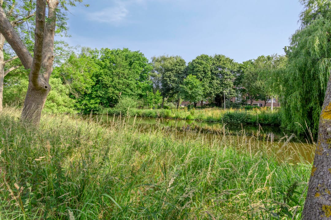 Foto 28 van Avenhornstraat 51