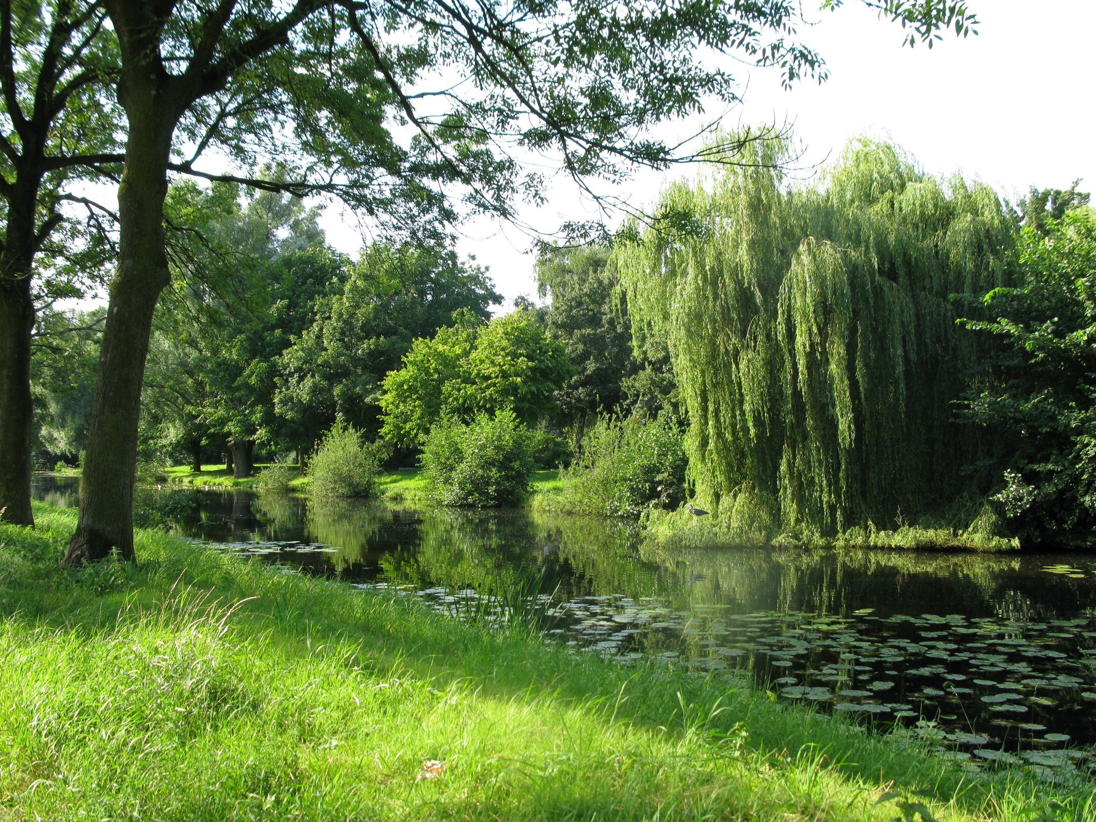 Foto 30 van Avenhornstraat 51