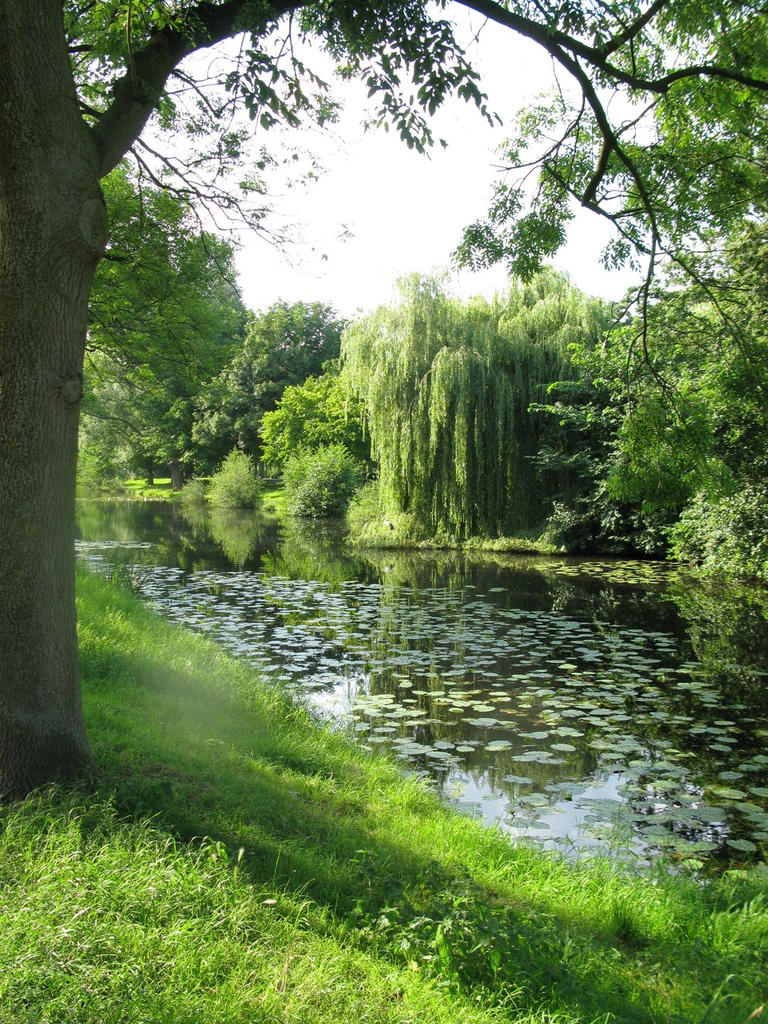 Foto 31 van Avenhornstraat 51