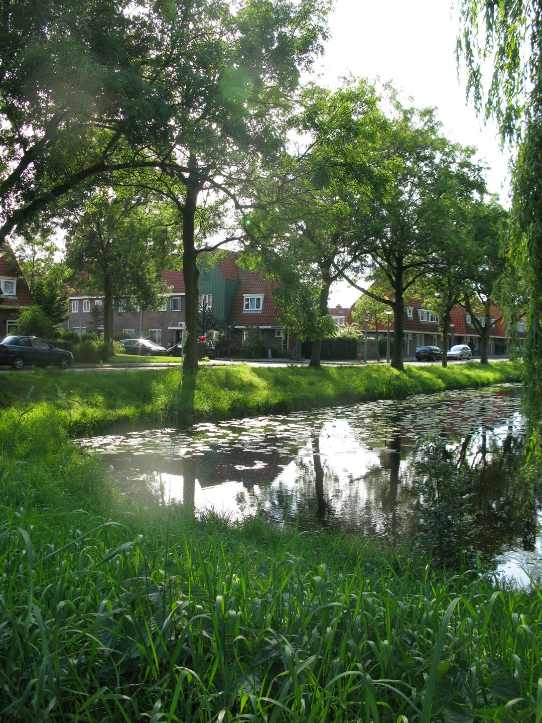 Foto 32 van Avenhornstraat 51