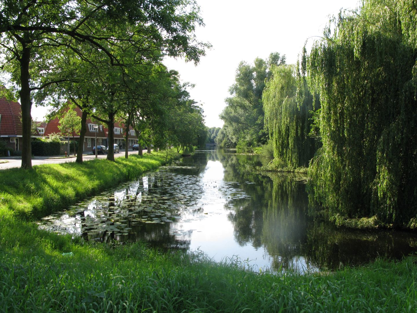 Foto 34 van Avenhornstraat 51