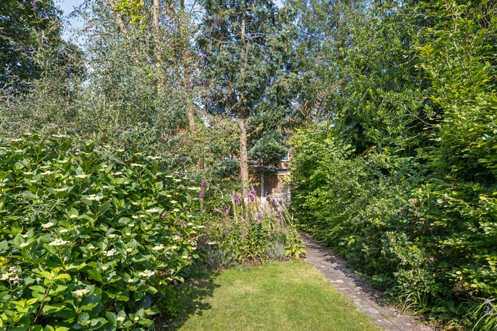 Foto 14 van Dr. Schaepmanlaan 36