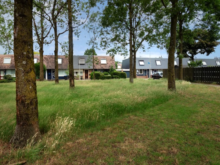 Foto 25 van Zwanenveld 3544