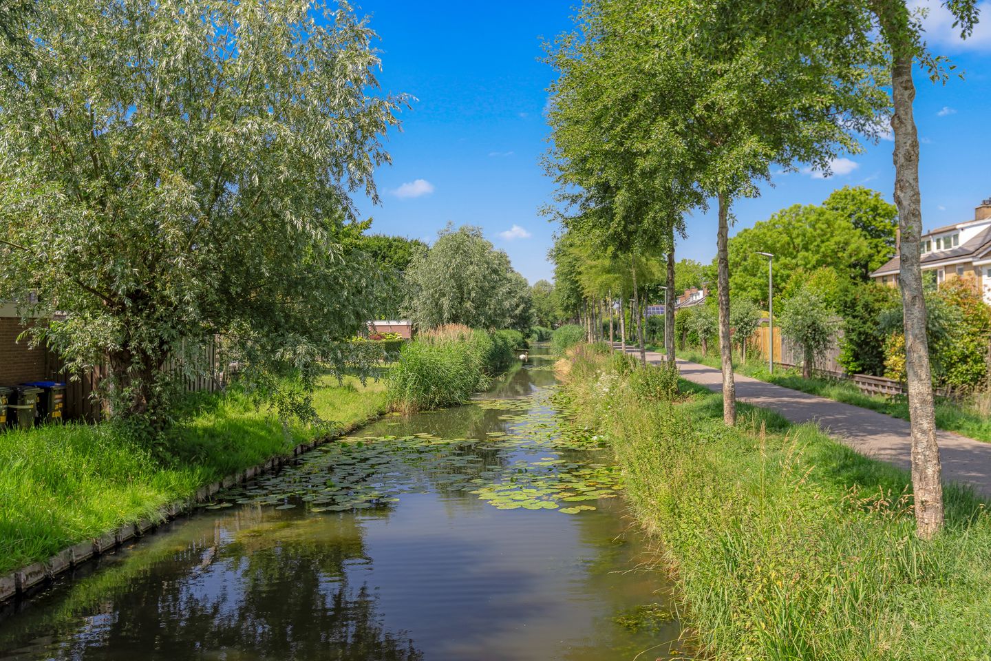 Foto 50 van Cannenburg 83