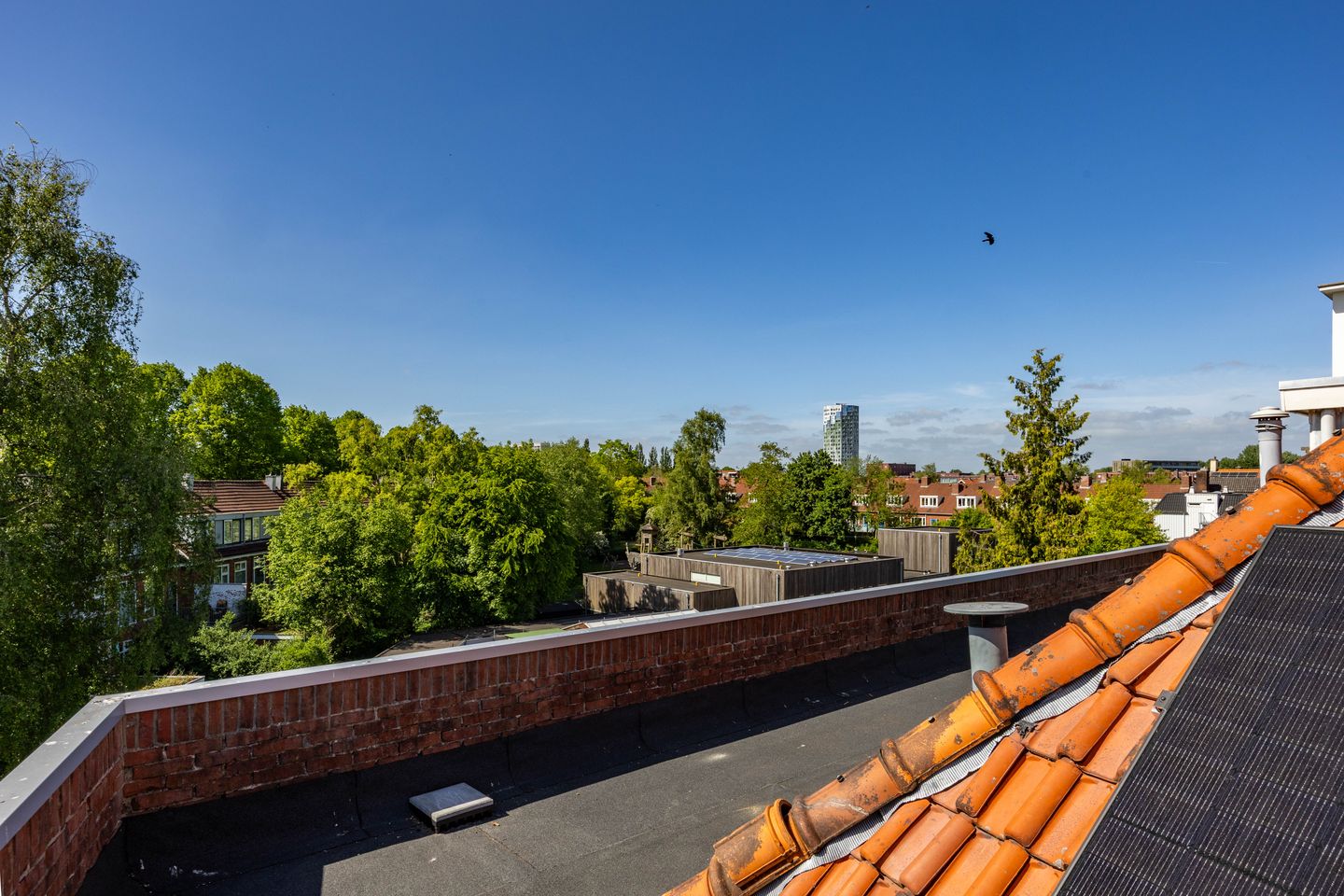 Foto 59 van Ambonstraat 28-B