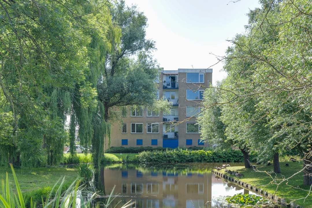 Photo 1 of Flevostraat 243