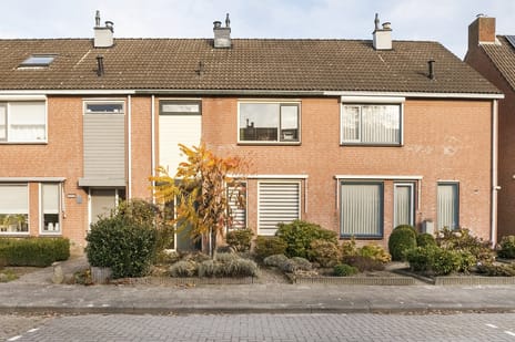 undefined main image