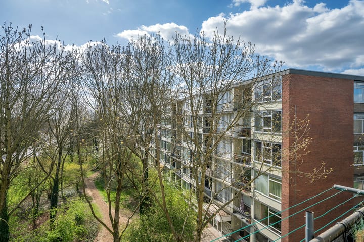 Foto 18 van Rijnbeekstraat 406