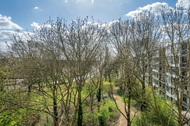 Foto 19 van Rijnbeekstraat 406