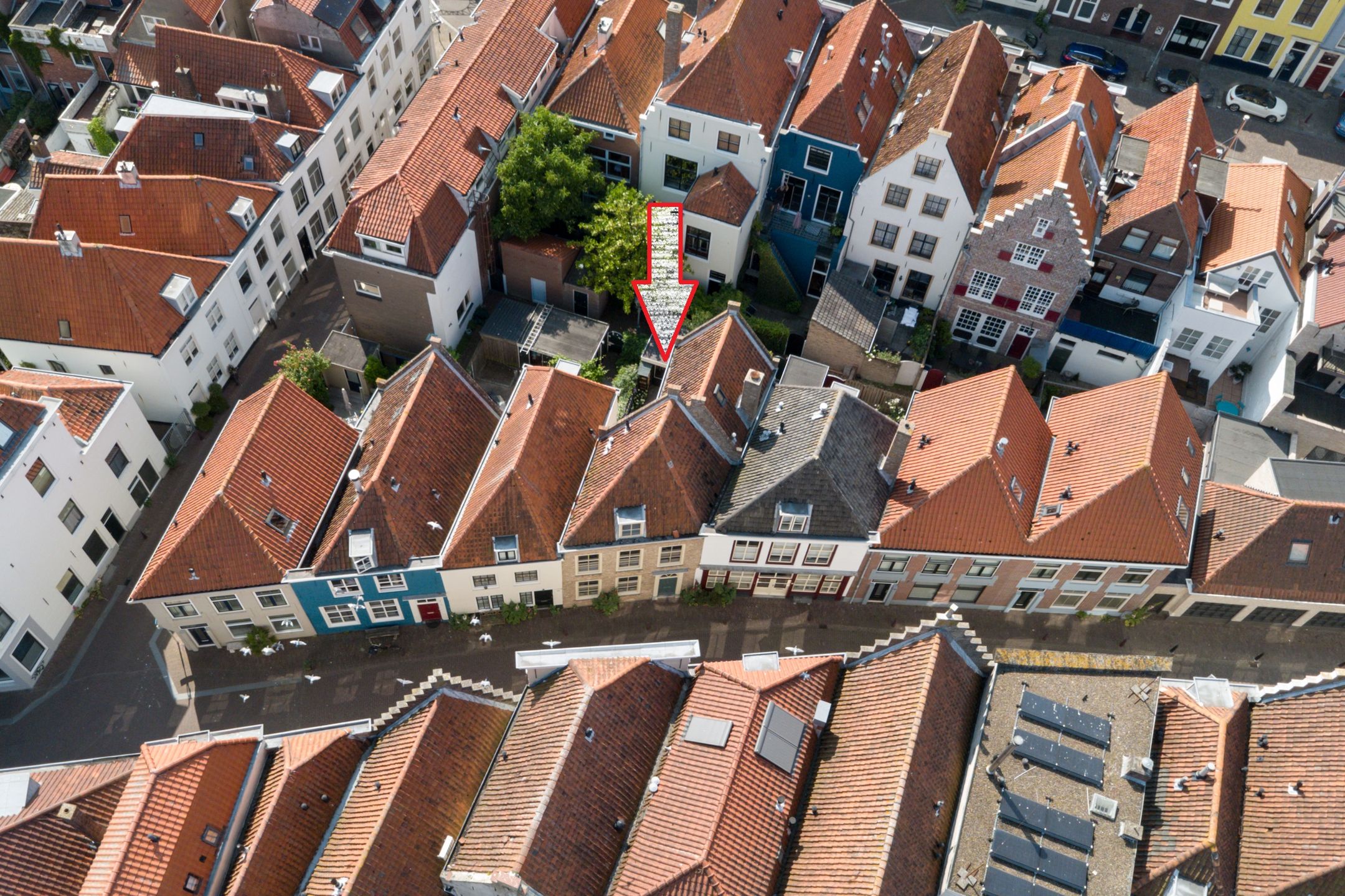 Photo 33 of Groenewoud 26