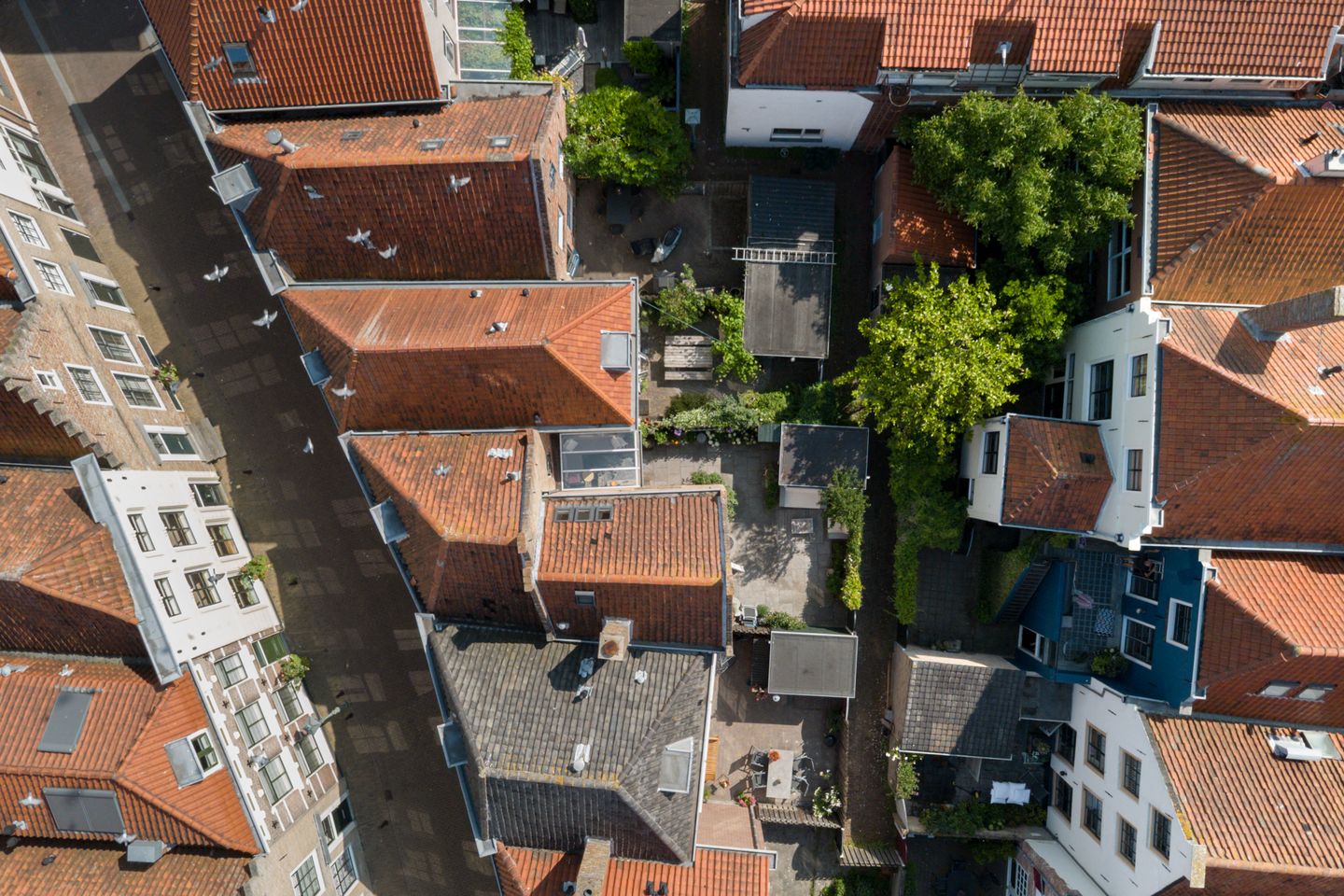 Photo 34 of Groenewoud 26