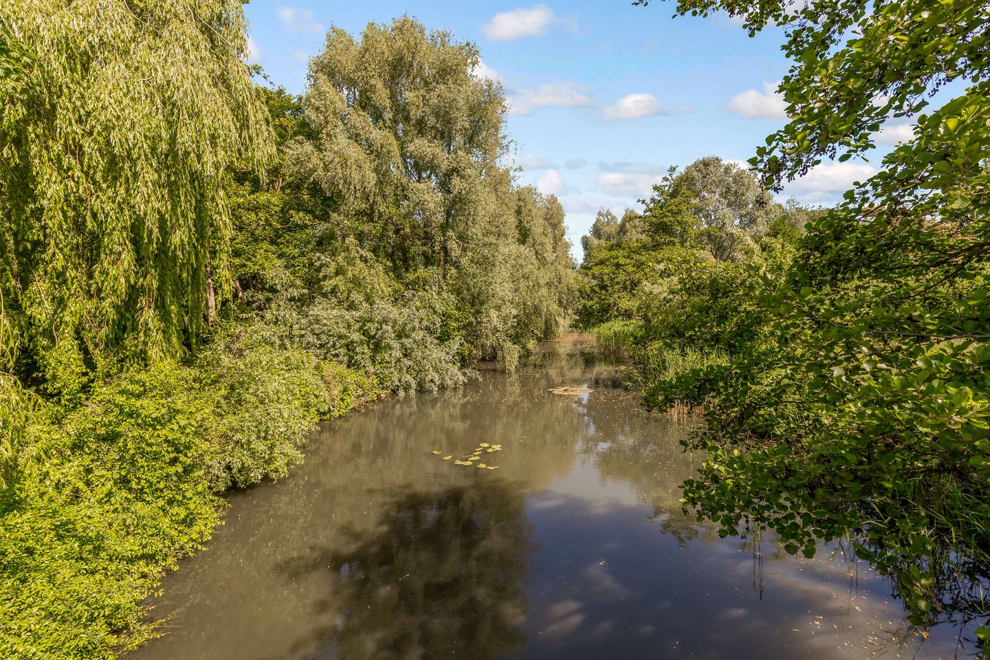 Foto 35 van Nieuwe Koekoekstraat 117-B